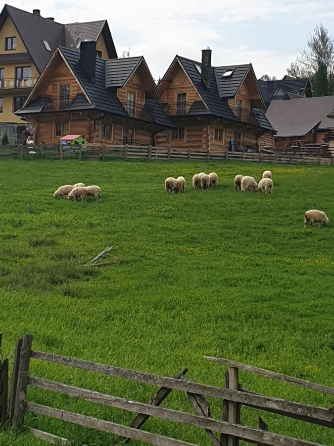 Шале Luksusowe Domki Elizy Luxury Chalets Poronin Поронин