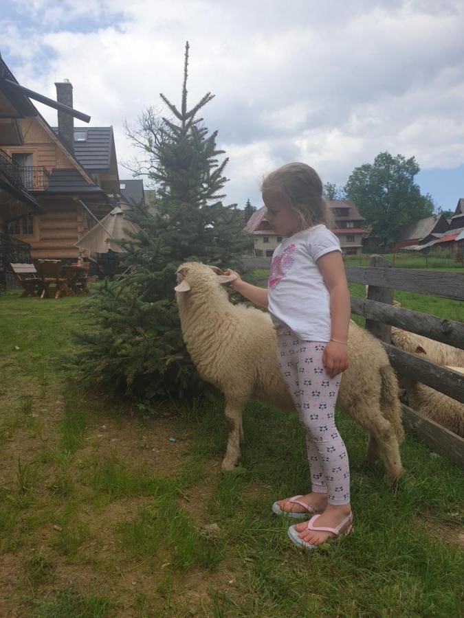 Шале Luksusowe Domki Elizy Luxury Chalets Poronin Поронин