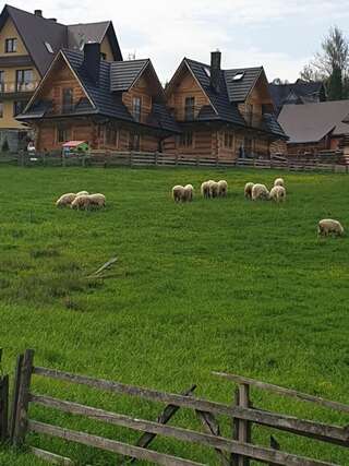 Шале Luksusowe Domki Elizy Luxury Chalets Poronin Поронин Шале с двумя спальнями-65