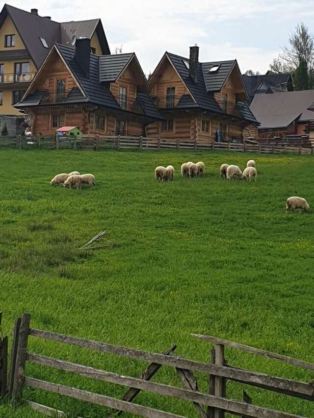 Шале Luksusowe Domki Elizy Luxury Chalets Poronin Поронин-21