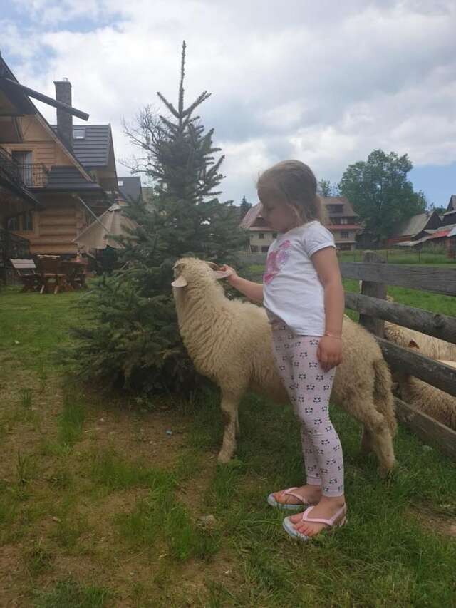 Шале Luksusowe Domki Elizy Luxury Chalets Poronin Поронин-7