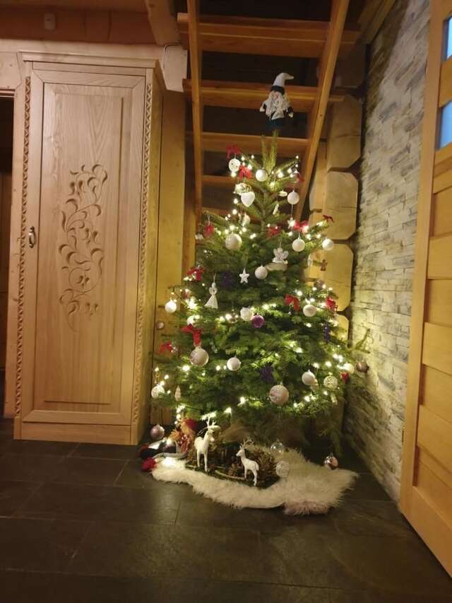 Шале Luksusowe Domki Elizy Luxury Chalets Poronin Поронин-9