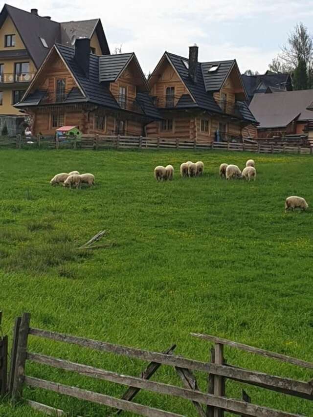 Шале Luksusowe Domki Elizy Luxury Chalets Poronin Поронин-79